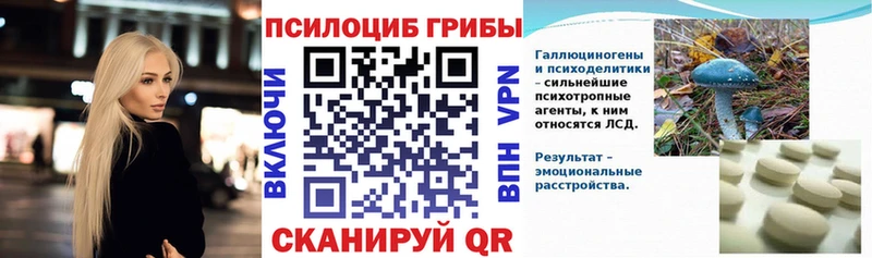 Псилоцибиновые грибы Psilocybe  mega ссылка  Называевск 